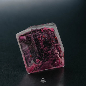 Corpus Lumin - Dream Chamber