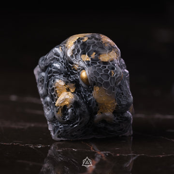HexaCell - Quantum