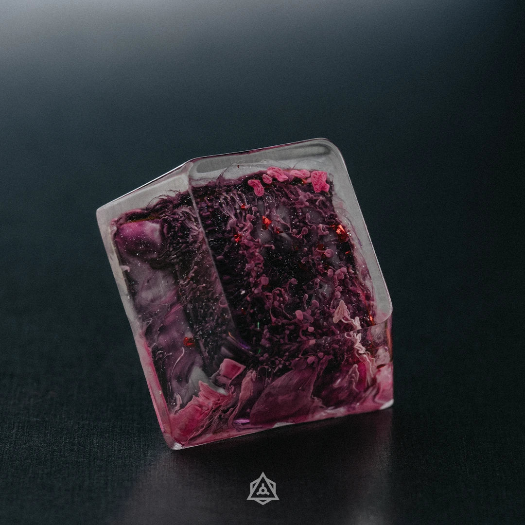 Corpus Lumin - Dream Chamber