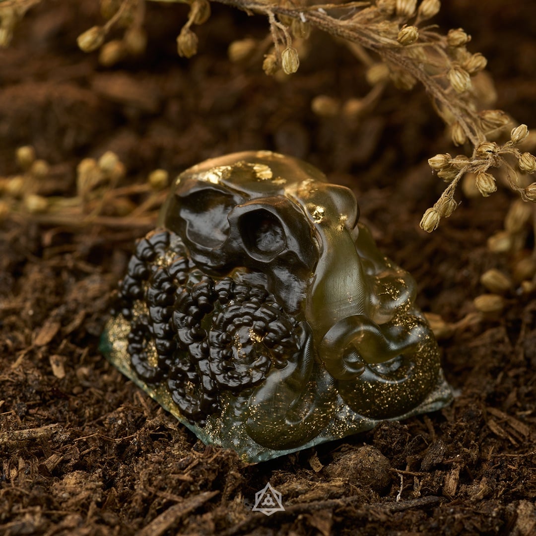 Forbidden Forest – Grokknar