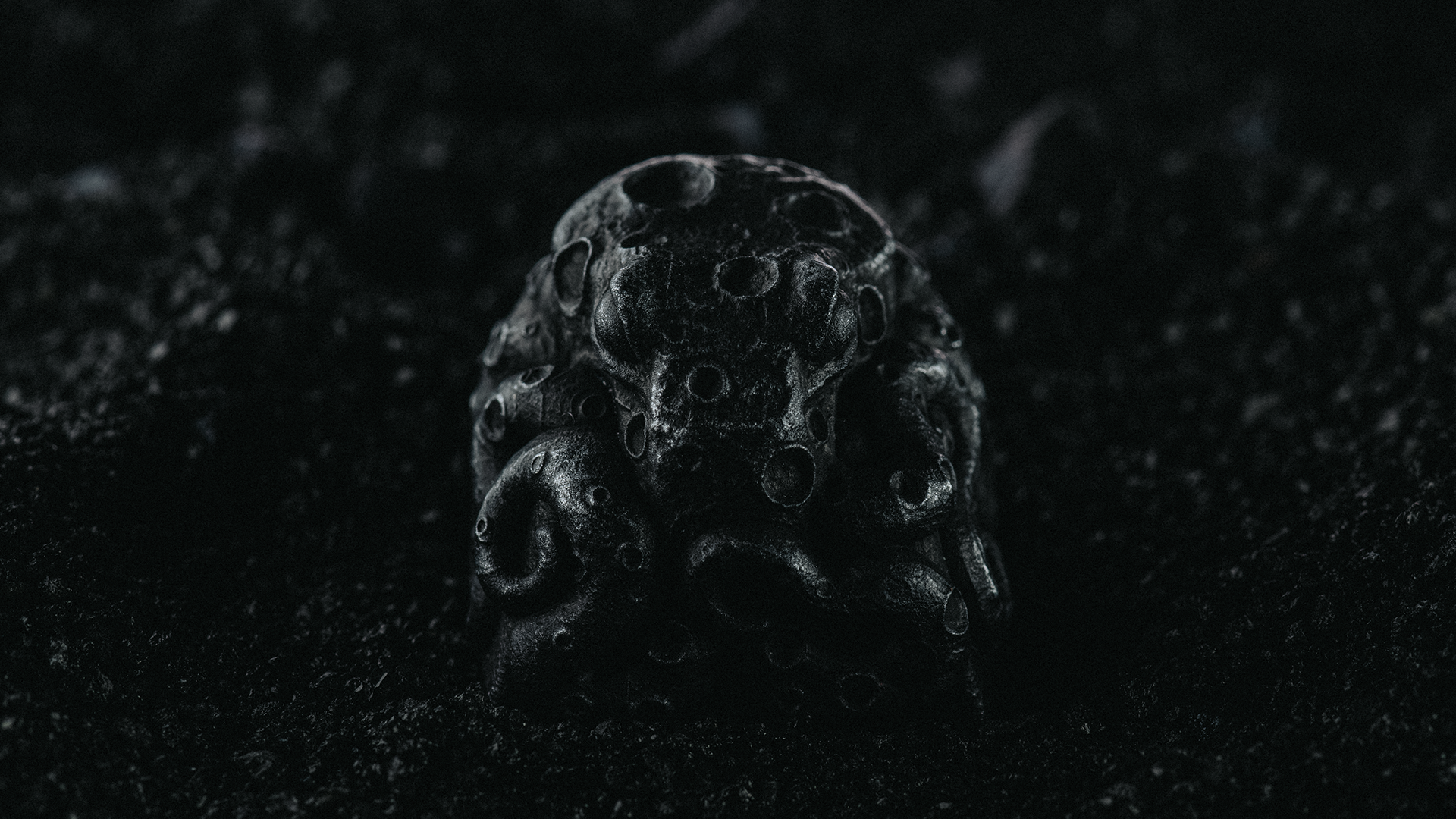 slider image slider_item_qp7jYU