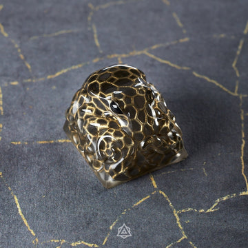 Mitosis – Interphase